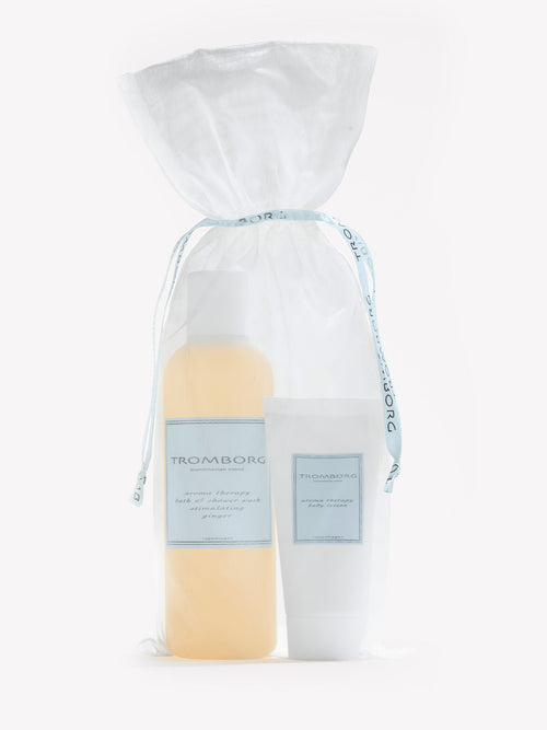 Bath & Shower Ginger Gift Set
