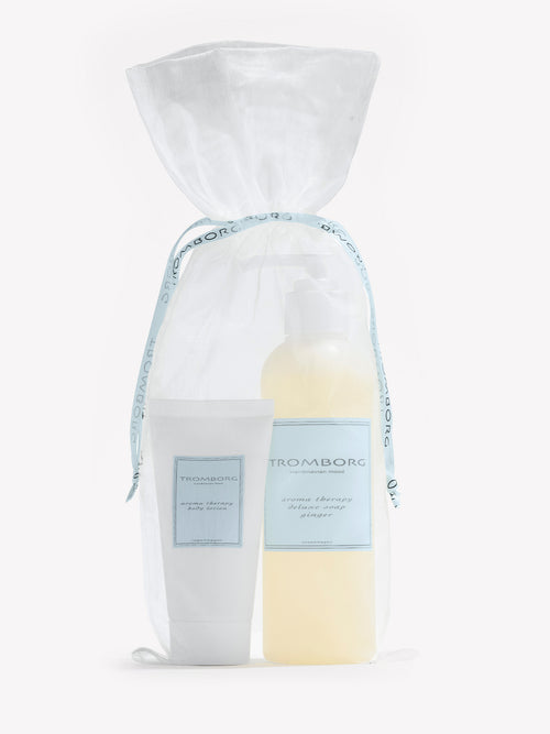 Aroma Therapy Deluxe Soap Ginger Gift Set